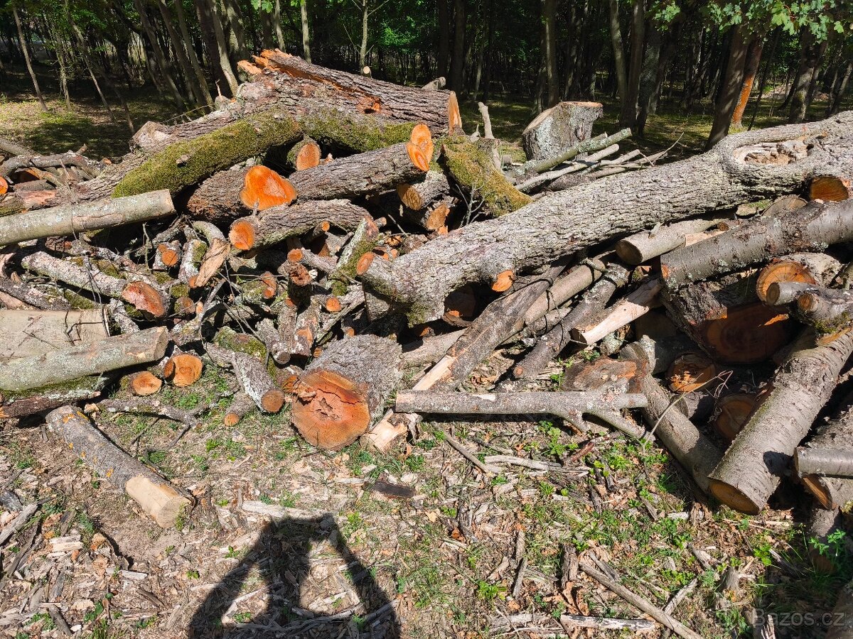 Prodám převážně Tvrdé listnaté dřevo - 8