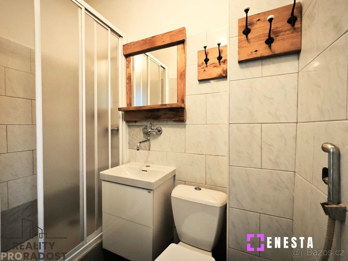 Pronájem bytu 2+kk 45 m², Tursko - 8