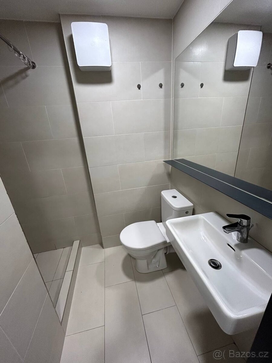 byt (loft) 1+kk, 30m2 v ul. Poděbradská, Praha 9 - Vysočany - 8