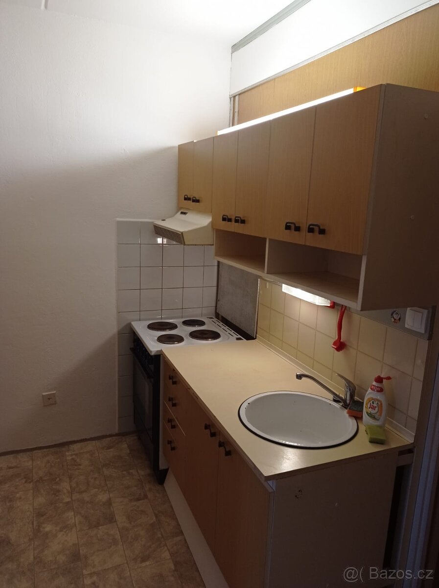 Pronajmu garsonku v Jindřichově Hradci - 8
