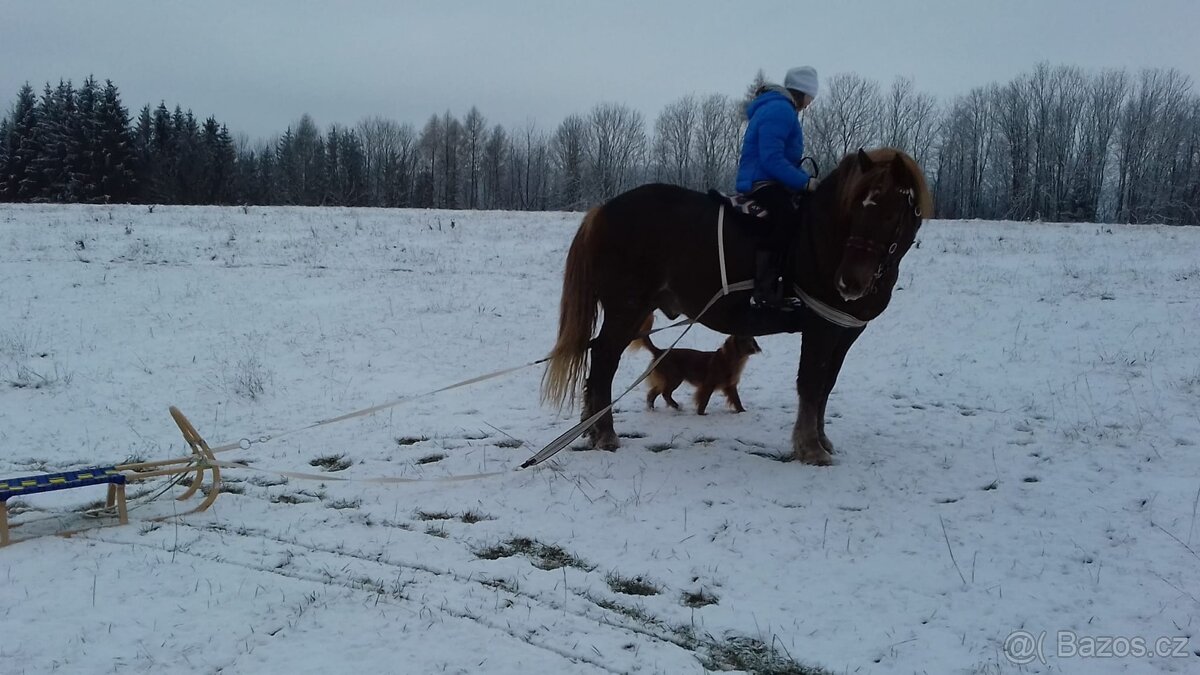 Valach pro začátečníky - 8