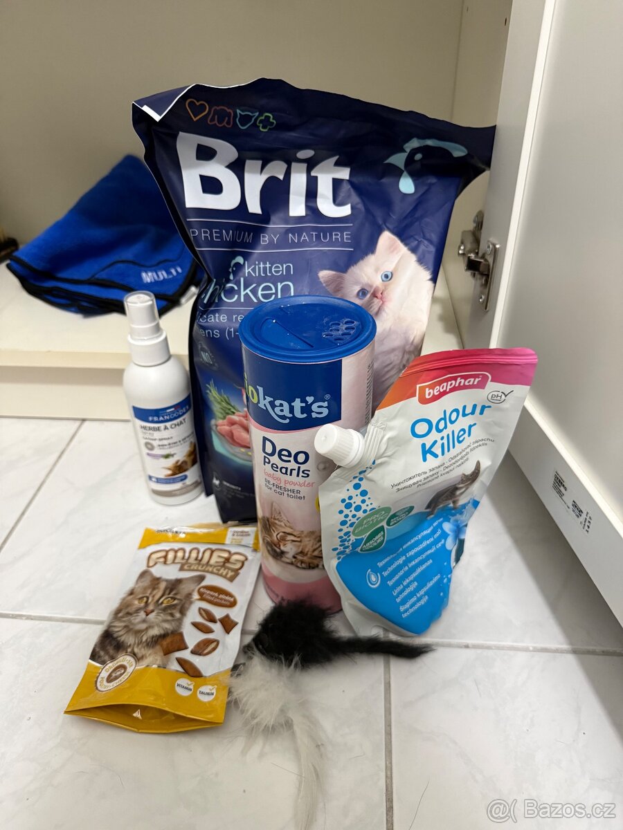 Kočka s výbavou - 8