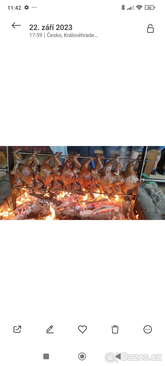 Kuřata kuřecí maso brojler - 8