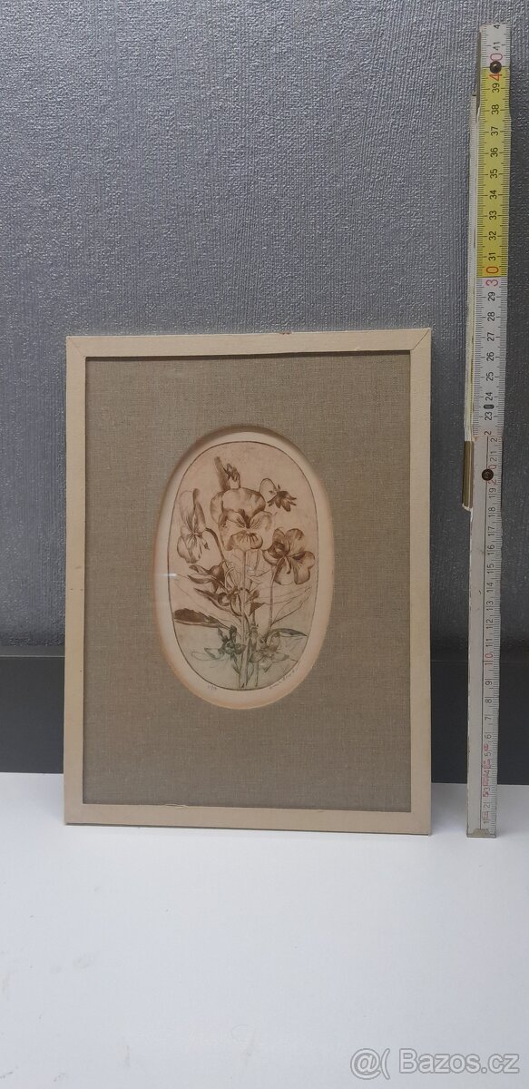 Obrazy z pozůstalosti - 8