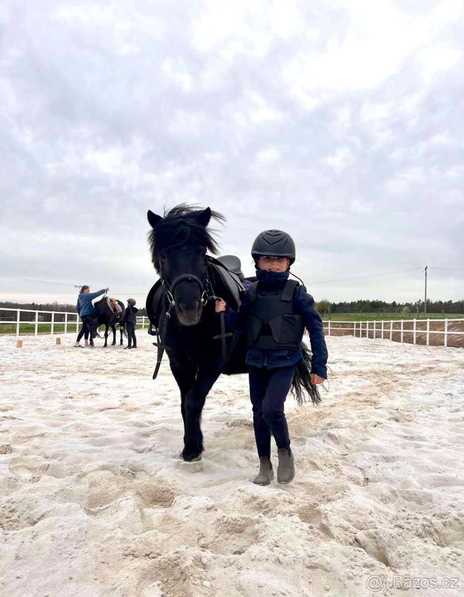 Klisna Shetlandský pony - 8