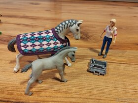 Schleich - 8