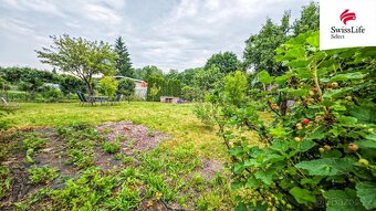 Prodej zahrady 316 m2, Pardubice - 8