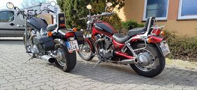 Harley - 8