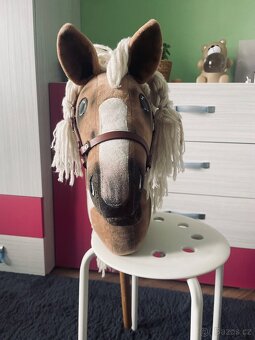 Hobby horse - 8