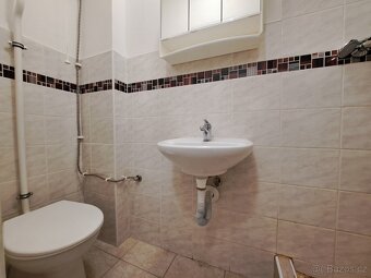 Pronájem 1+kk-zvýšené přízemí 28m², okno do zahrady. Šilingr - 8
