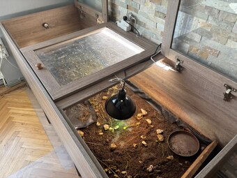 Terarium 80x190x80 cm - 8