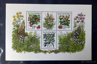 Slovensko - 8