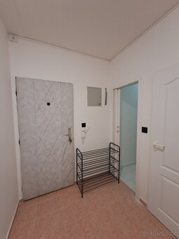 Pronájem bytu 3+1 - 8