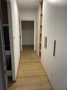 Dobrý den pronajmu byt 3+1 - 8
