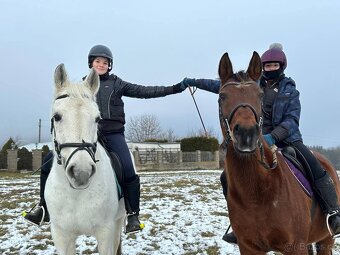 Dva koně pro začátečníky - 8