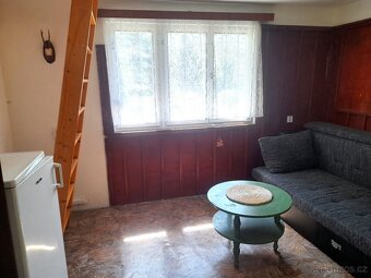 Pronájem chaty 50m2, pozemek 1200 m2, Pánské Nové Dvory - 8