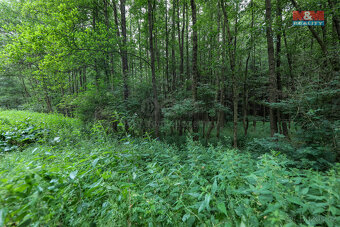 Prodej pole, 11043 m², Svárov - 8