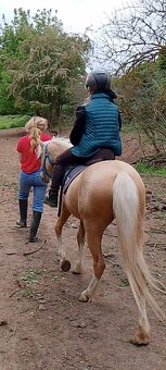 Pony kobylka - 8