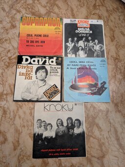8lp +8sp vinyl Kroky Michal David cena za 8lp+8sp - 8