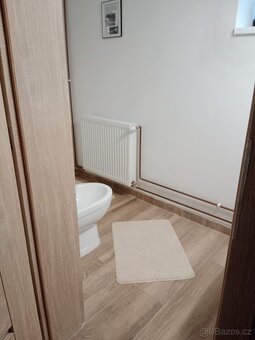 Prodám RD, chalupu na polosamotě s lesem a velkým pozemkem - 8
