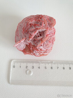 Pouštní růže červený sádrovec minerál nerost - 8