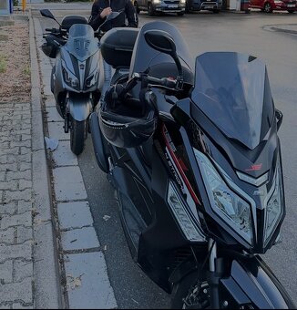 KENTOYA Maximus, Torax - 8