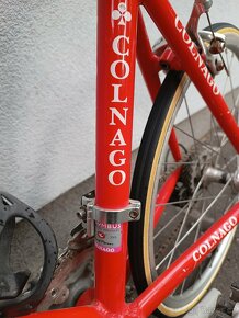 Prodam juniorske kolo ernesto colnago campagnolo - 8