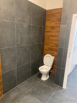 Pronajmu 2 jednotky Vrsovice - 8