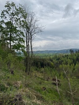Prodám lesní pozemky v k.ú. Bukovina u Čisté. - 8