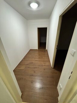 Nabízím pronájem bytu 2+1 Nejdek - 8