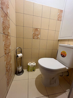 Pronájem bytu 3+1, 64m2, Písek - 8