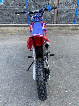 Pitbike UpBeat RUN 125cc 17/14 model s el. startérem - 8