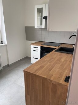 Pronajem bytu 3+1 - 8