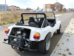 VW Apal Buggy - 8