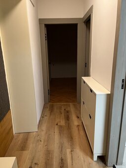 Pronájem bytu 2 +1 Brno, Žabovřesky - 8