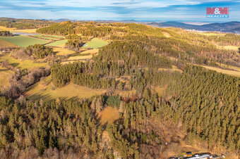 Prodej lesa, 30891 m², Malenice - 8