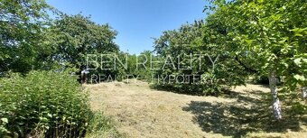 Pronájem zahrady pro rekreaci Pohořelice 1400 m2 s ovocnými  - 8