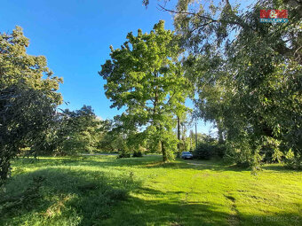 Prodej zahrady, 719 m², Město Albrechtice - 8