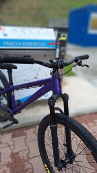 CTM Dirtking expert 2025 - 8