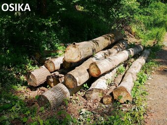 Palivové dřevo - dub, osika - 8