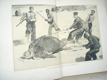 Jules Verne Hvězda jihu - 8
