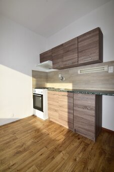 Pronájem bytu 1+1 v Chomutově - 8