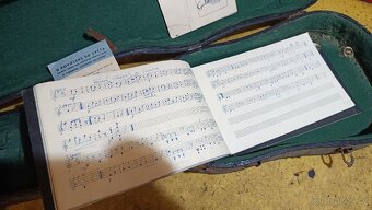 Futrál na housle - 8