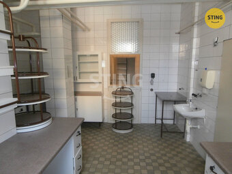 Pronájem obchodu 240m2., 135504 - 8
