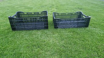 PE přepravka bedýnka na ovoce a zeleninu 60x40 - 8