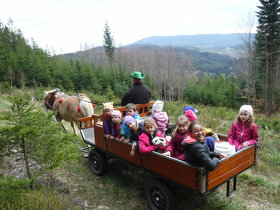 SÁNĚ A VŮZ ZA KONĚ - prodám - 8