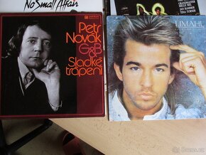 LP VINYLY - 8