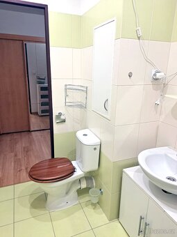 Pronájem bytu Domažlice 2+1, s balkónem - po rekonstrukci - 8