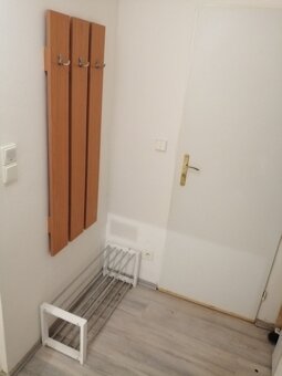 Pronájem 1+kk, ulice Údolní, centrum, 32 m2, klidný - 8
