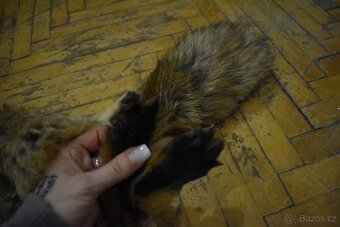 Kožešina liška - 8